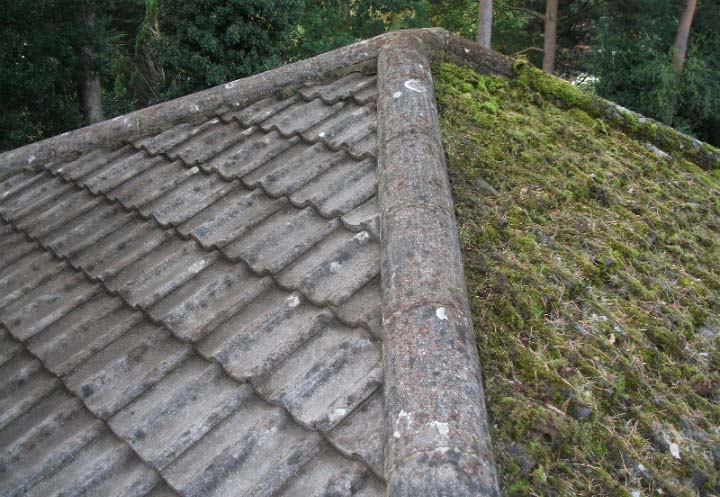 démoussage toiture à Les Chapelles-Bourbon (77610)